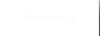 Photo Gallery 1